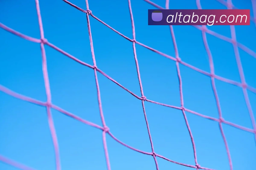 ag百家乐APP 体育赛事宣传图